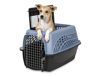 21231_PM_2 door kennel_dog.JPG